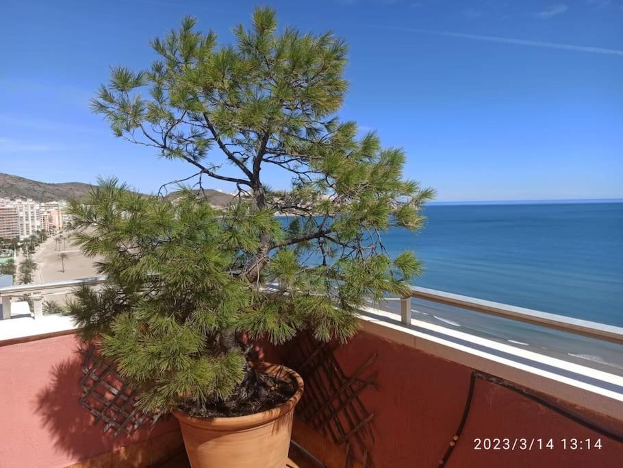 Espectacular Terraza Y Vistas En 1A Linea De Playa Leilighet Cullera Eksteriør bilde