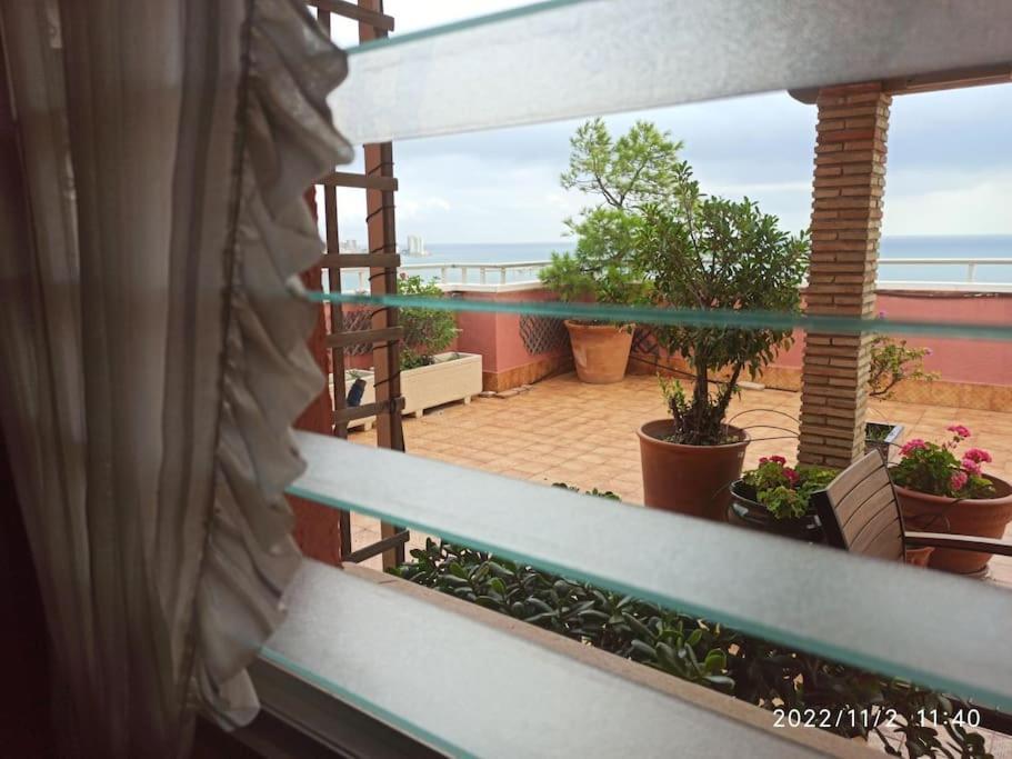 Espectacular Terraza Y Vistas En 1A Linea De Playa Leilighet Cullera Eksteriør bilde